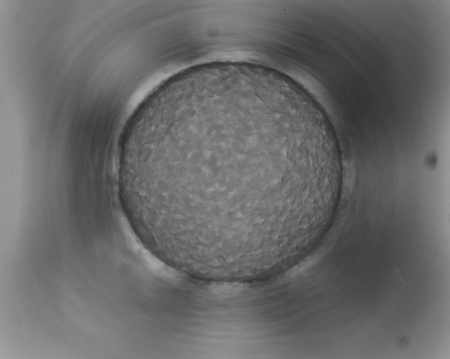 X0000113061046200909181956