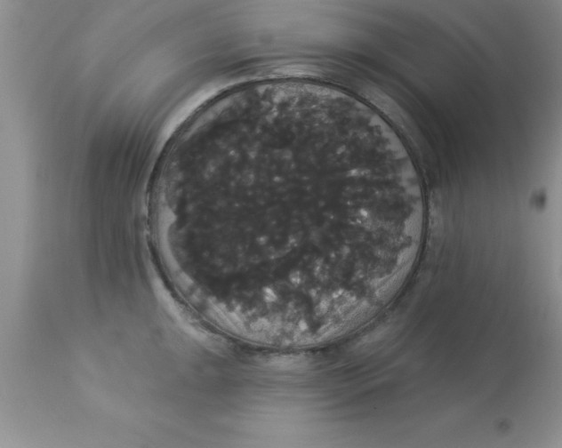 X0000113061047200909181956
