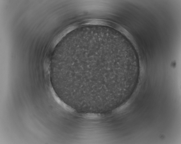 X0000113061049200909181956