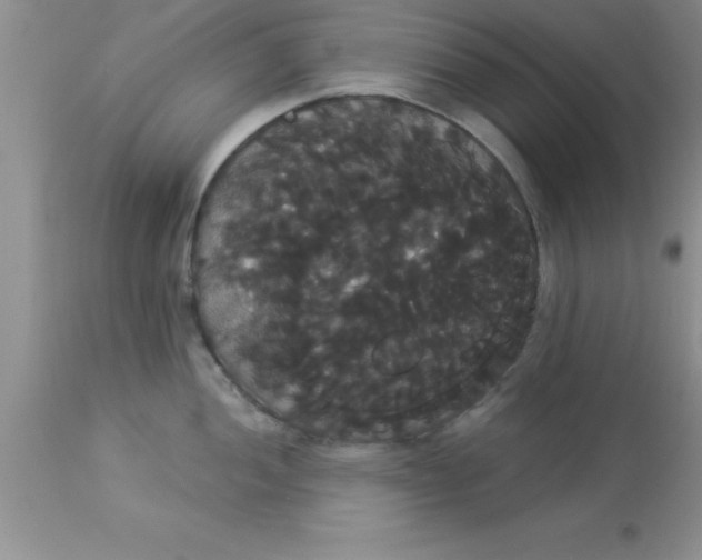 X0000113061052200909181956
