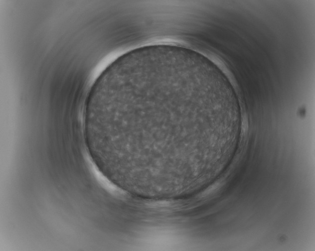 X0000113061054200909181956