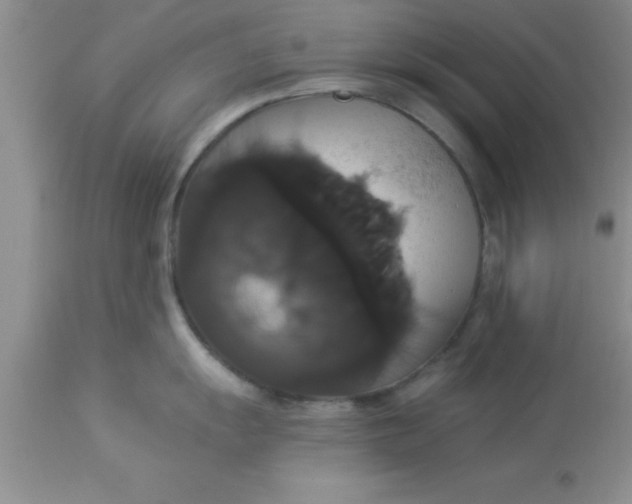 X0000113061055200909181956