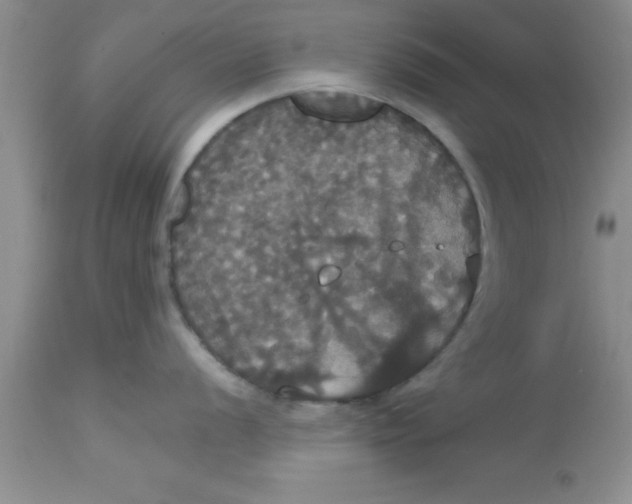 X0000113061056200909181956