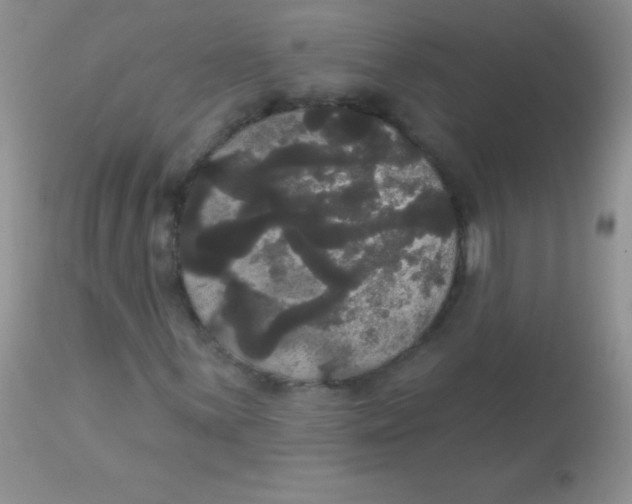 X0000113061059200909181955