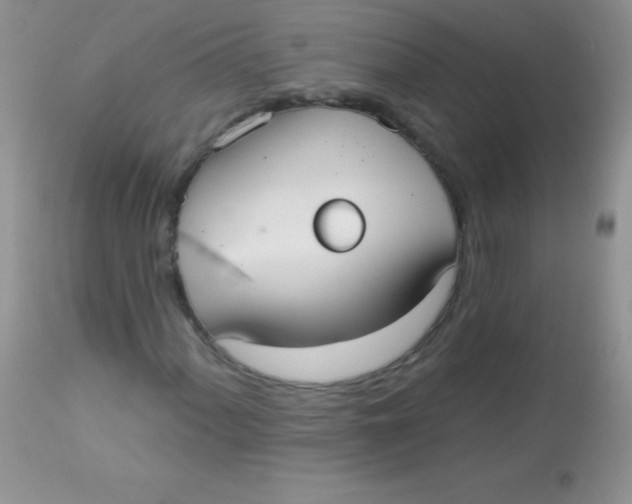 X0000113061060200909181955