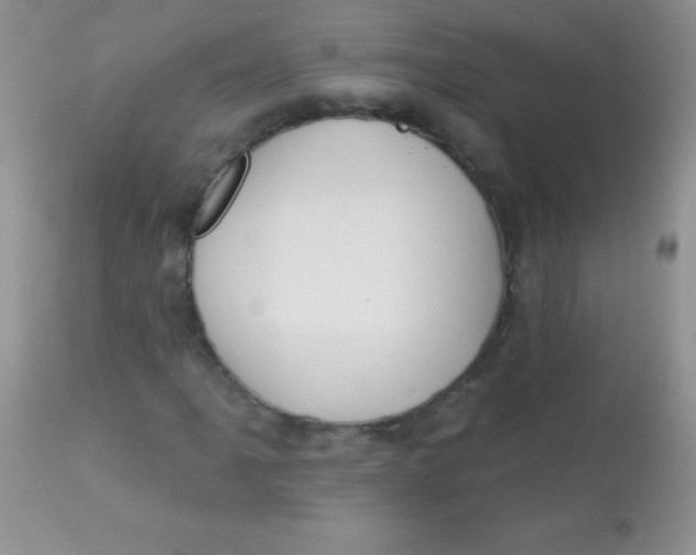 X0000113061061200909181955