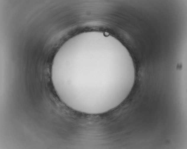 X0000113061062200909181955