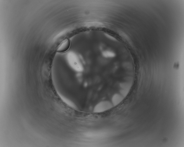 X0000113061063200909181955