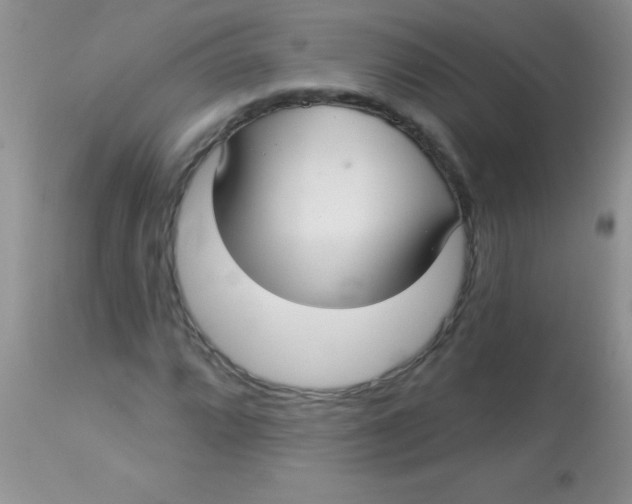 X0000113061064200909181955