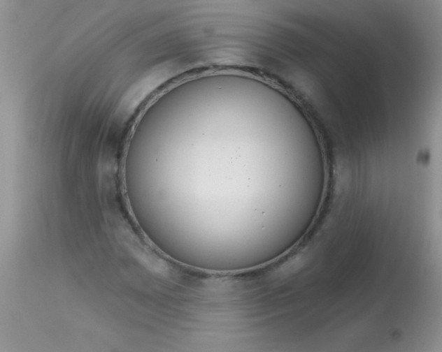 X0000113061065200909181955