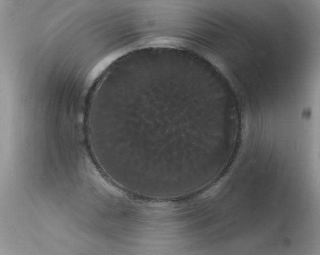 X0000113061066200909181955