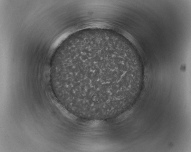 X0000113061067200909181955