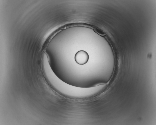 X0000113061069200909181955