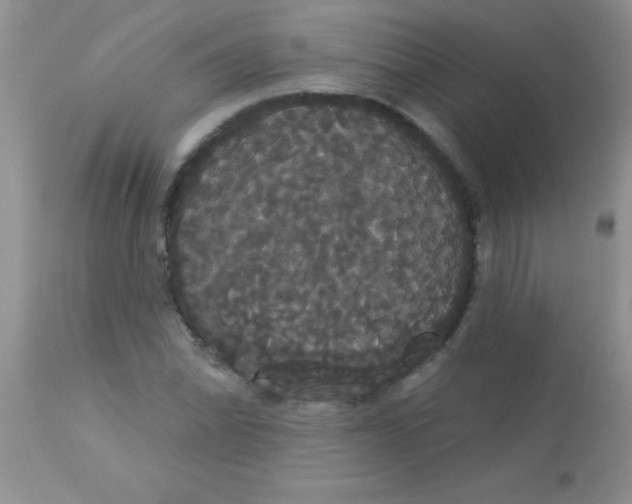 X0000113061070200909181955