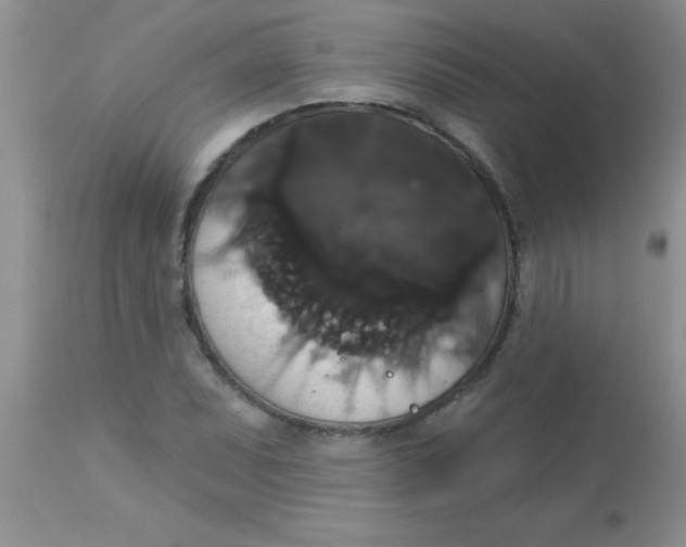 X0000113061071200909181955