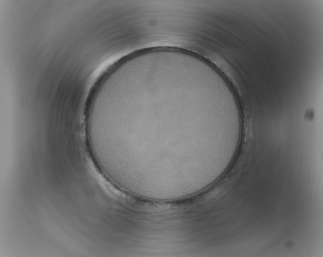 X0000113061072200909181955