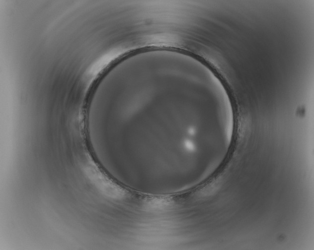 X0000113061074200909181955