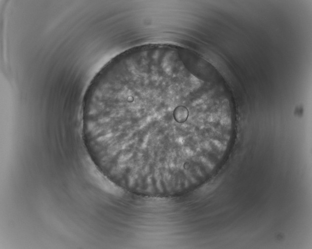 X0000113061076200909181955