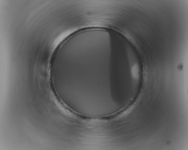 X0000113061077200909181955