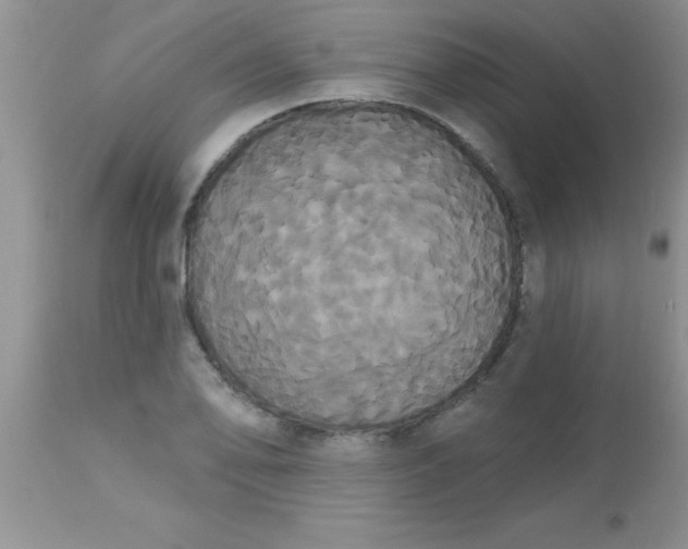 X0000113061078200909181955
