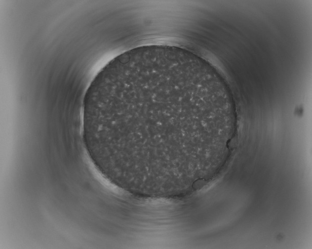 X0000113061079200909181955