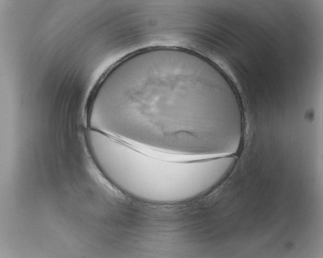 X0000113061080200909181955
