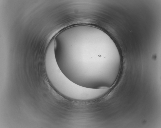 X0000113061081200909181955