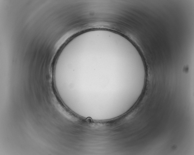 X0000113061082200909181955