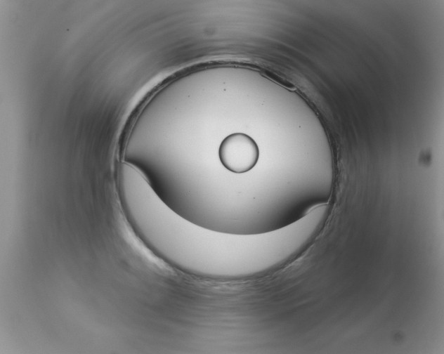 X0000113061084200909181955
