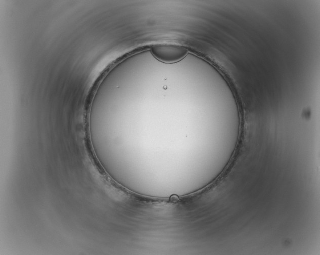 X0000113061085200909181955