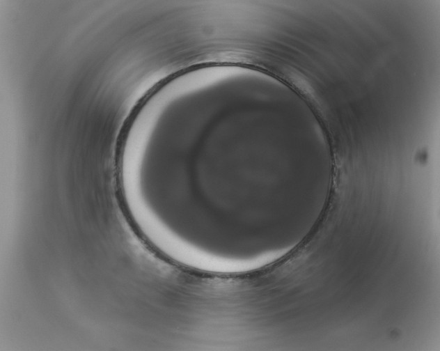 X0000113061087200909181955