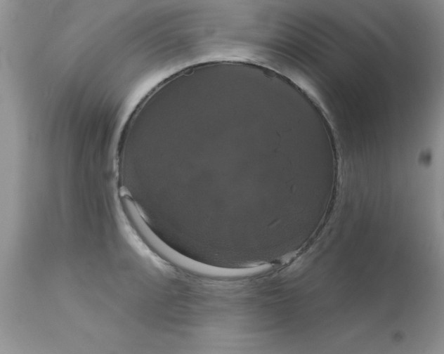 X0000113061088200909181955