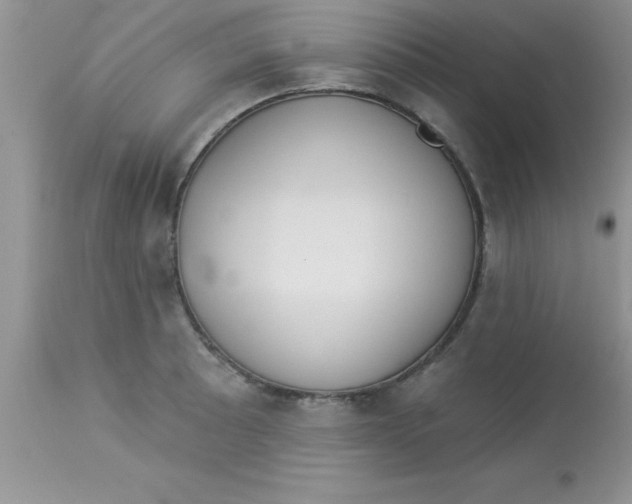 X0000113061089200909181955