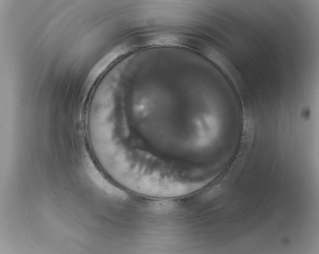 X0000113061090200909181955