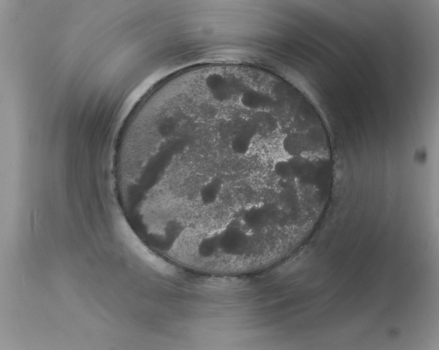 X0000113061091200909181955