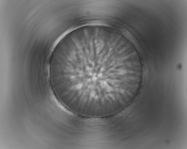 X0000113061092200909181954