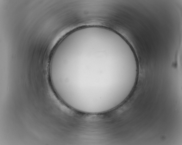 X0000113061093200909181954