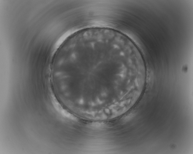X0000113061094200909181954