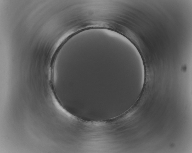 X0000113061095200909181954