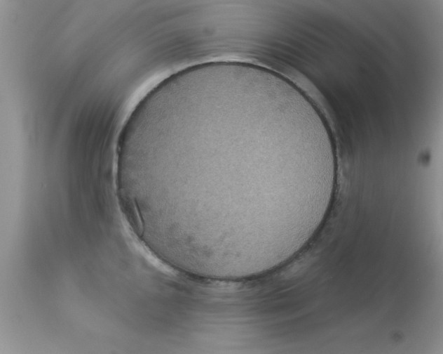 X0000113061096200909181954