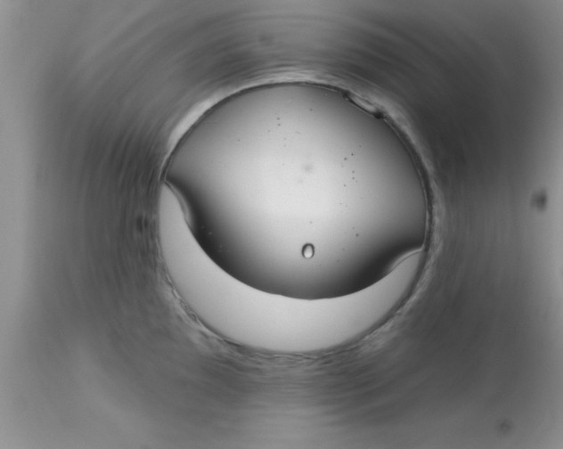 X0000113061097200909181954