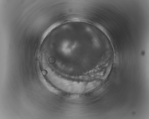 X0000113061098200909181954