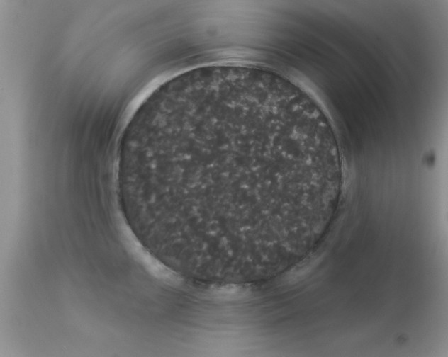 X0000113061099200909181954