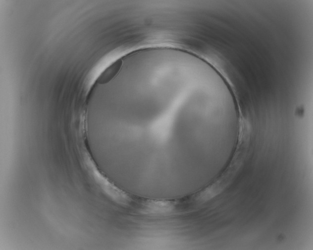 X0000113061101200909181954