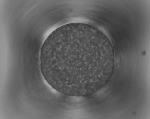 X0000113061103200909181954