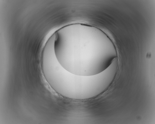 X0000113061104200909181954