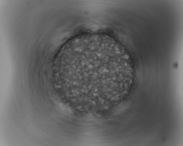 X0000113061105200909181954