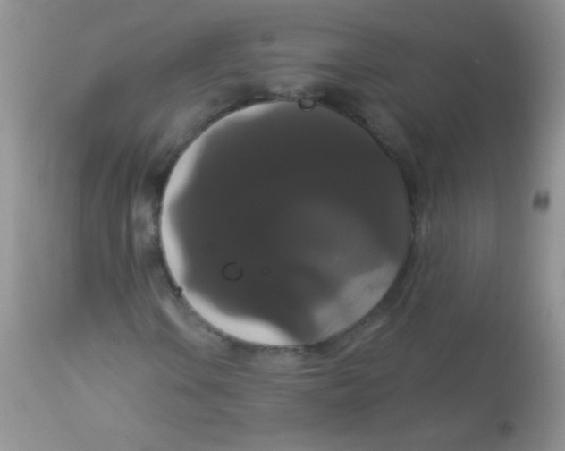 X0000113061106200909181954
