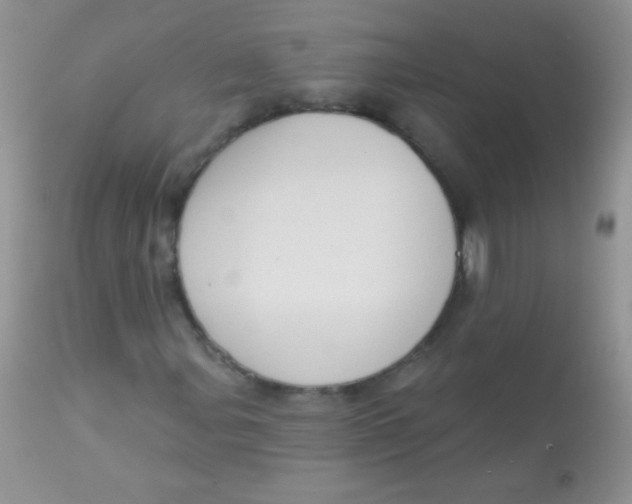 X0000113061107200909181954