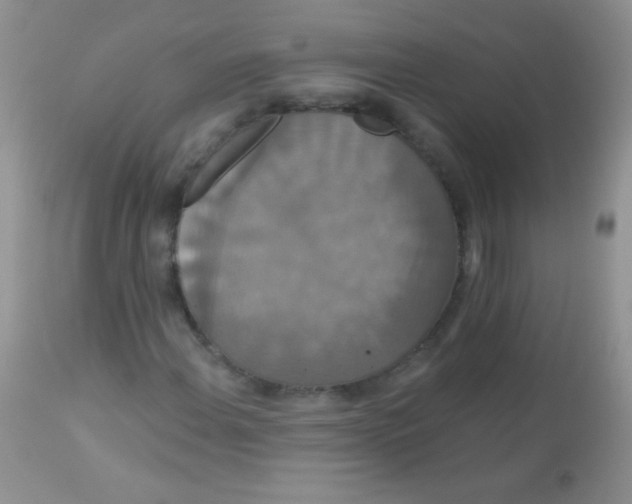 X0000113061108200909181954